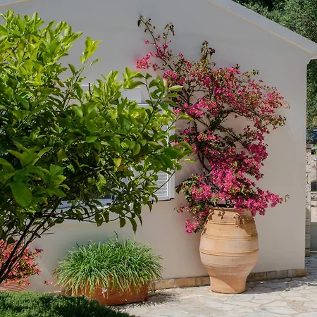 Agni Bay House, Agni Bay - Ne Corfu 빌라 Kavalleraina